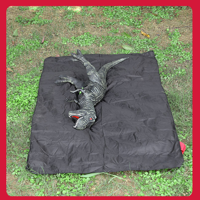 Outdoor Portable Pocket Blanket for Beach