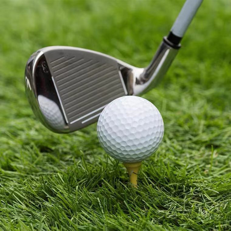 Professional Golf Ball Practice Golf Ball for Maximum Distance 